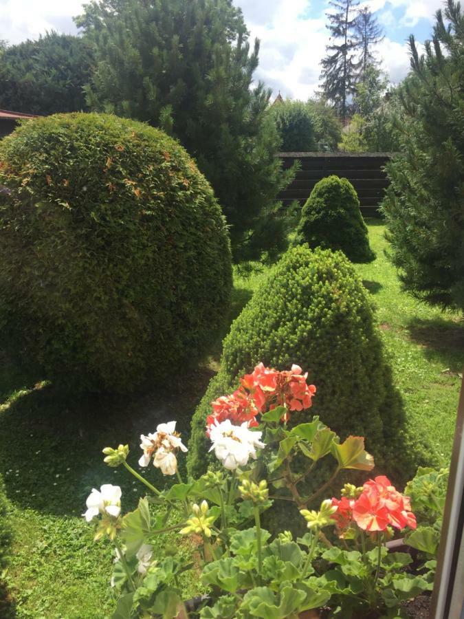 Vidiecky Dom Alexsandra - Ubytovanie V Sukromi Liptovska Ondrasova Dış mekan fotoğraf