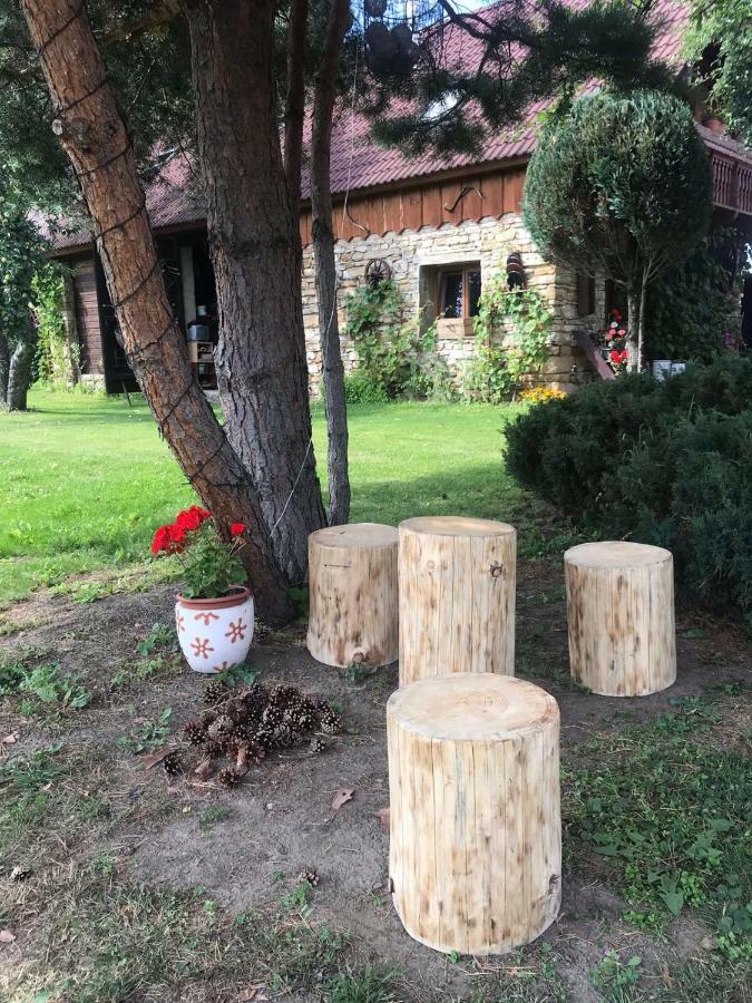 Vidiecky Dom Alexsandra - Ubytovanie V Sukromi Liptovska Ondrasova Dış mekan fotoğraf