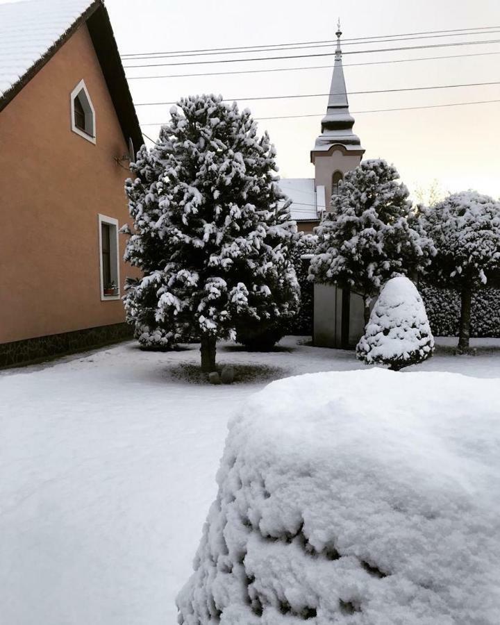 Vidiecky Dom Alexsandra - Ubytovanie V Sukromi Liptovska Ondrasova Dış mekan fotoğraf